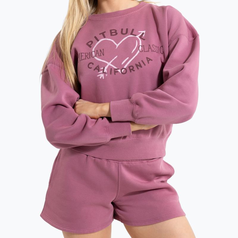 Hoodie Sweatshirt Damen Pitbull Manzanita Heart Crewneck Sweatshirt pink 5