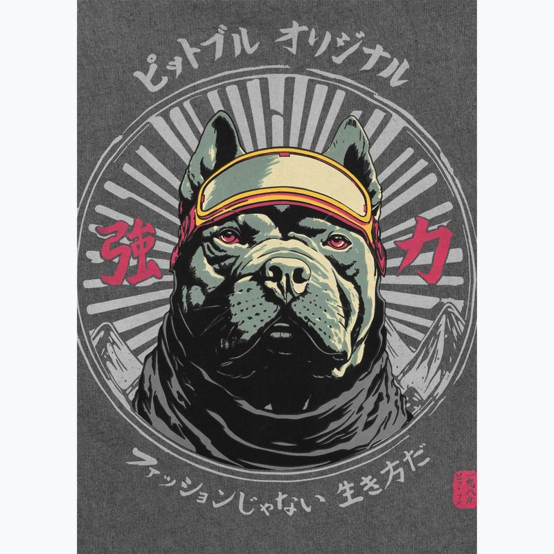 Pitbull Mt. Fuji Herren-T-Shirt gewaschen grau 5