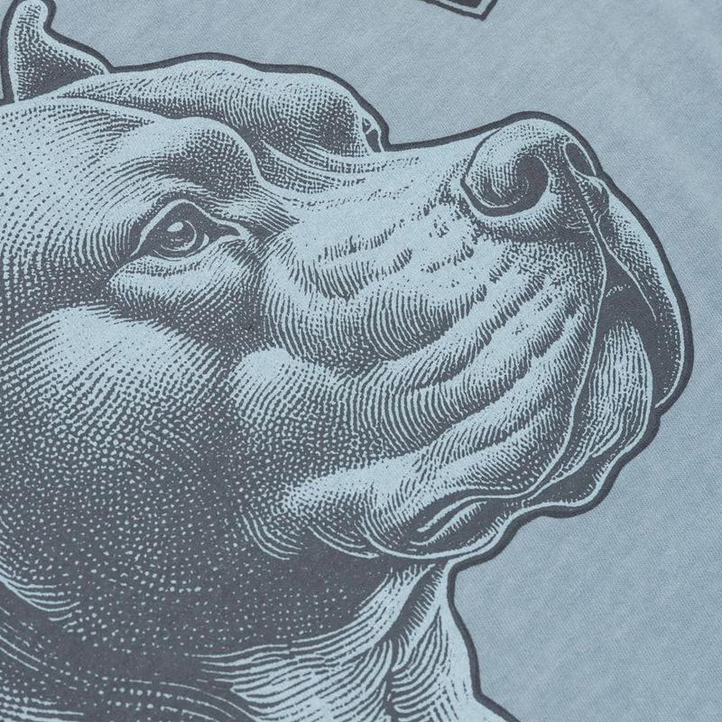 Pitbull Männer pazifikblau t-shirt 6