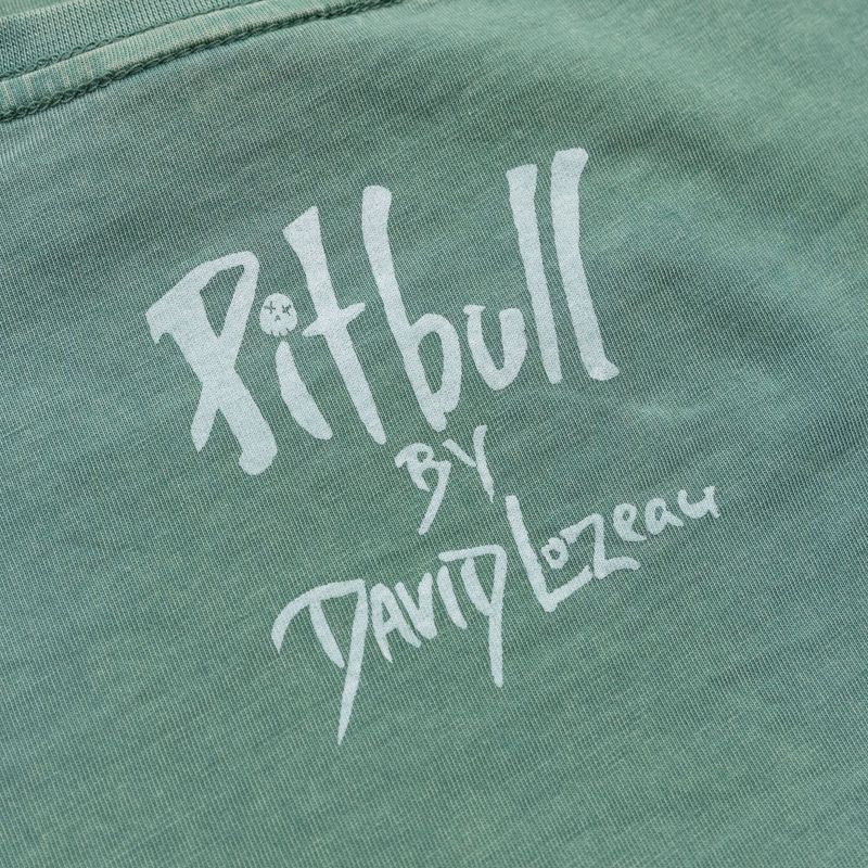 Pitbull Cruisinandboozin Frauen-T-Shirt mint 7