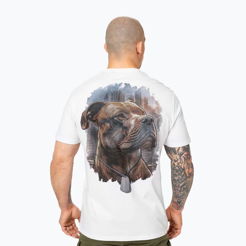 Pitbull Hero Herren-T-Shirt weiß 3