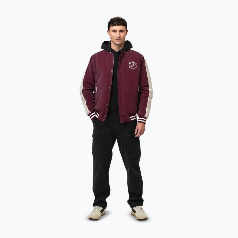 Herrenjacke Pitbull Manolito Baseball burgundy 2