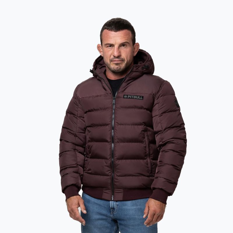 Herren-Winterjacke Pitbull Dillon Quilted Hooded burgundy