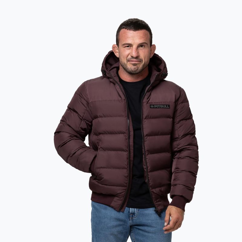 Herren-Winterjacke Pitbull Dillon Quilted Hooded burgundy 4