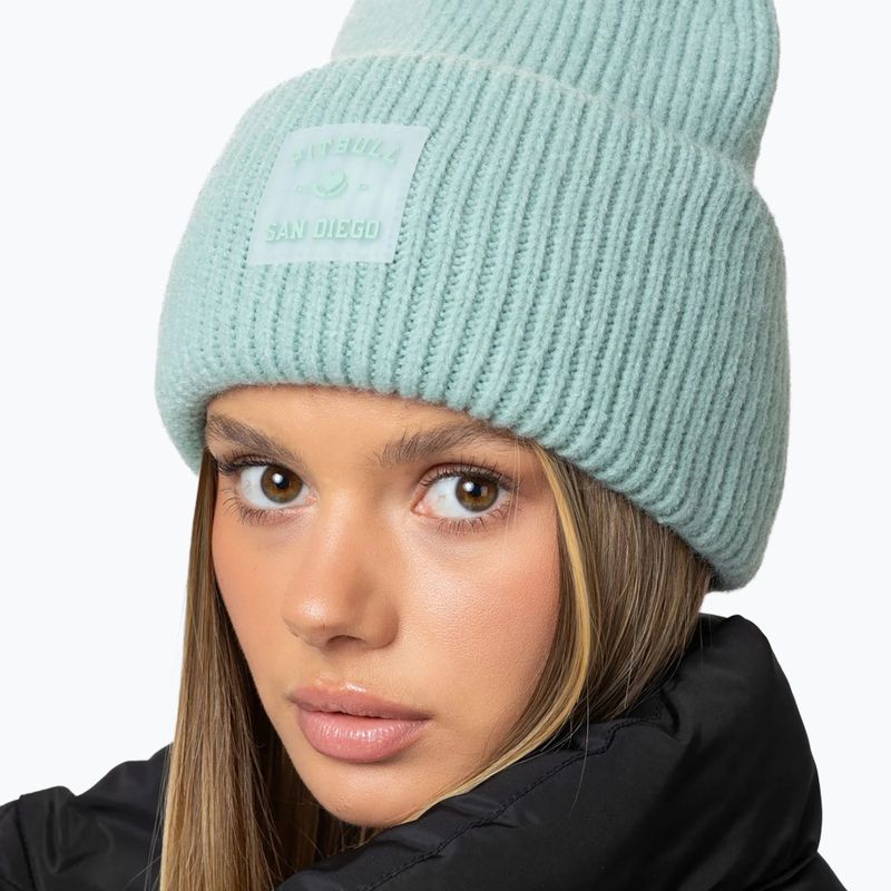 Wintermütze Pitbull Beanie Love PB light mint 3