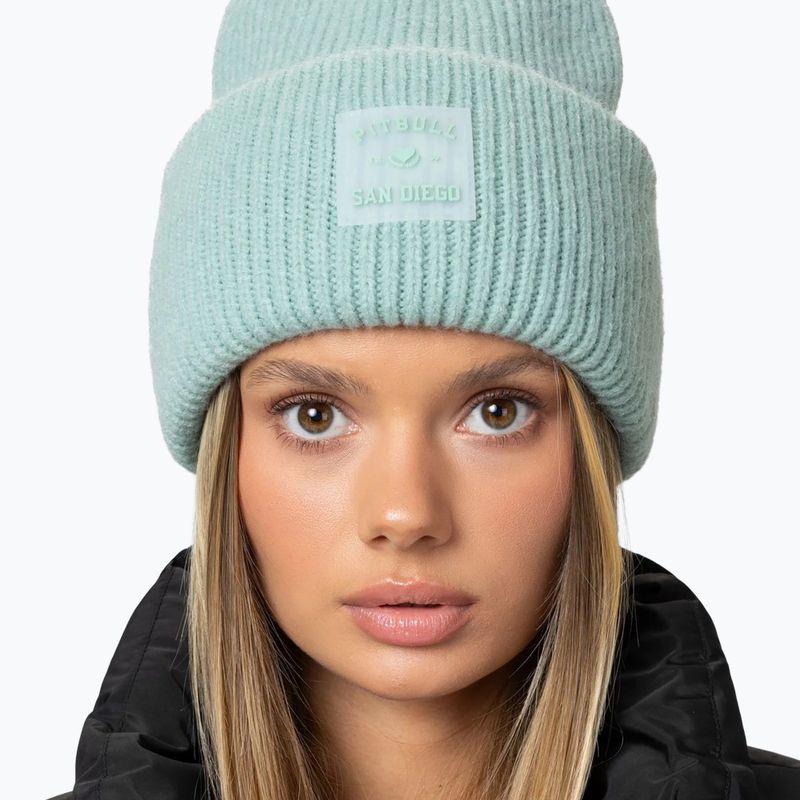 Wintermütze Pitbull Beanie Love PB light mint 4