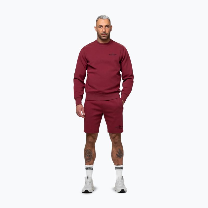 Herrenpullover Pitbull Sampson Crewneck Sweatshirt burgundy 2