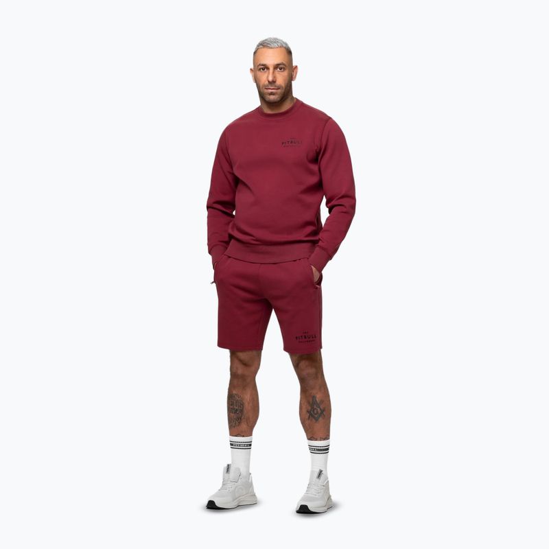 Herrenpullover Pitbull Sampson Crewneck Sweatshirt burgundy 4