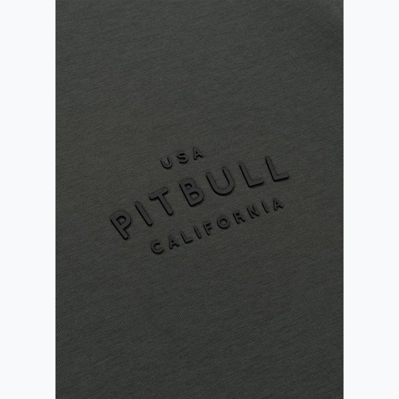 Herrenpullover Pitbull Sampson Hooded Sweatshirt grey/green 10