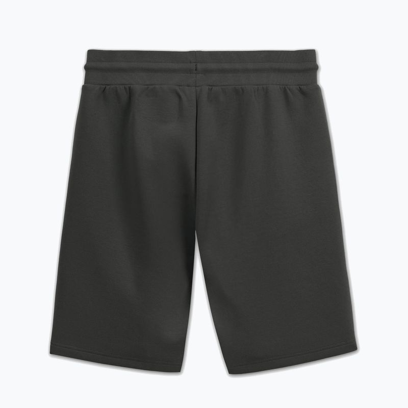 Herren-Shorts Pitbull Sampson grey/green 5