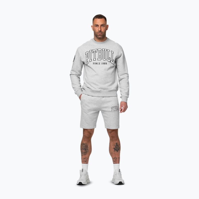 Herrenpullover Pitbull Badger Crewneck grey/melange 2