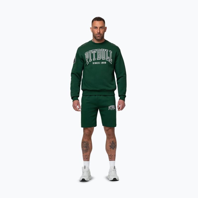 Herrenpullover Pitbull Badger Crewneck hunter/green 2
