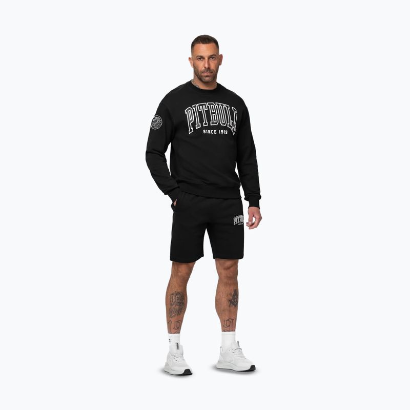 Herrenpullover Pitbull Badger Crewneck black 2