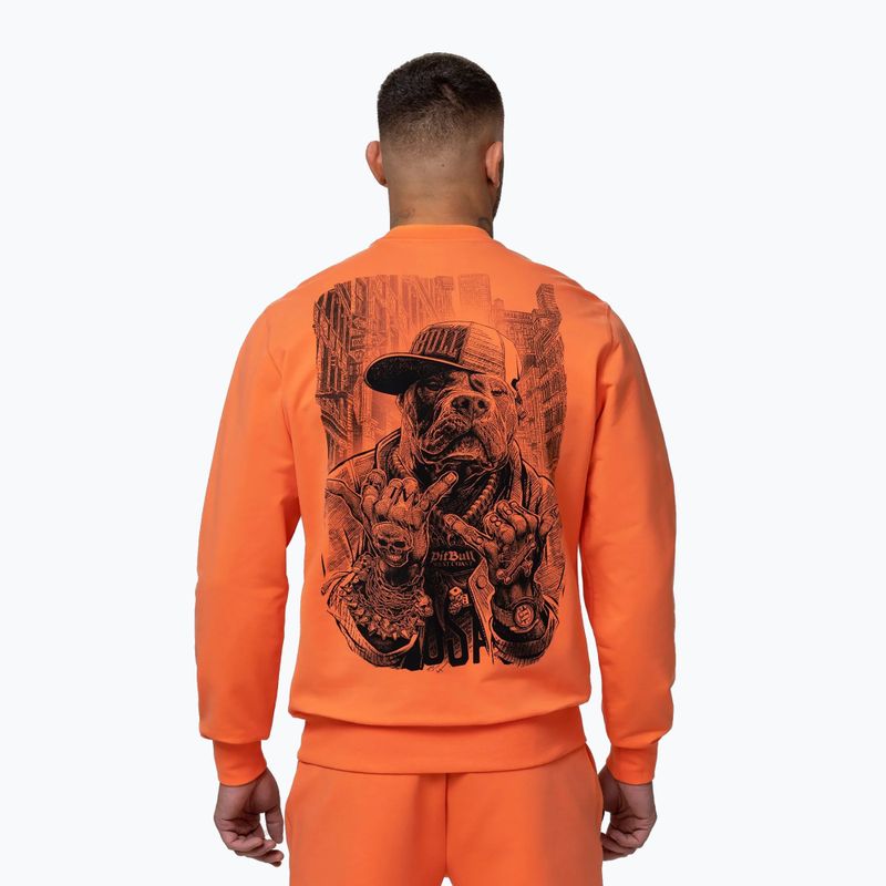 Herrenpullover Pitbull USA Crewneck Sweatshirt fluo orange 3