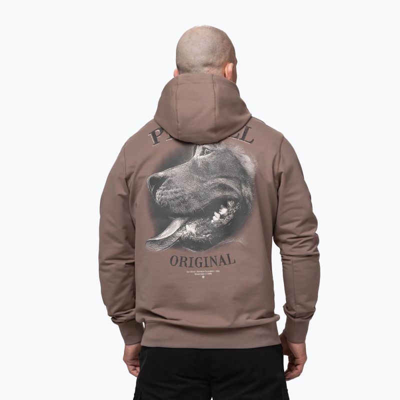 Herrenpullover Pitbull Midnight Sweatshirt Hooded brown savana 3