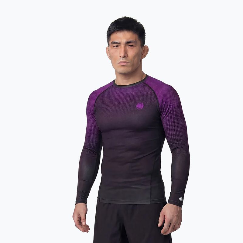 Rashguard Langarmshirt für Herren Pitbull Belt Rashguard purple