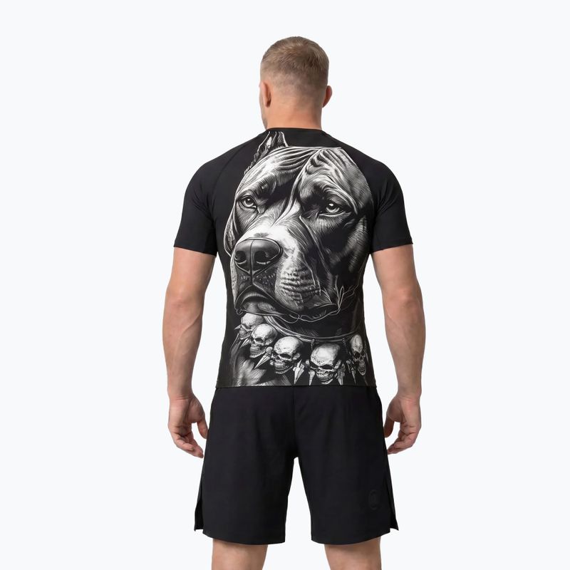 Herren-Rashguard Pitbull Blacky Rashguard black 3