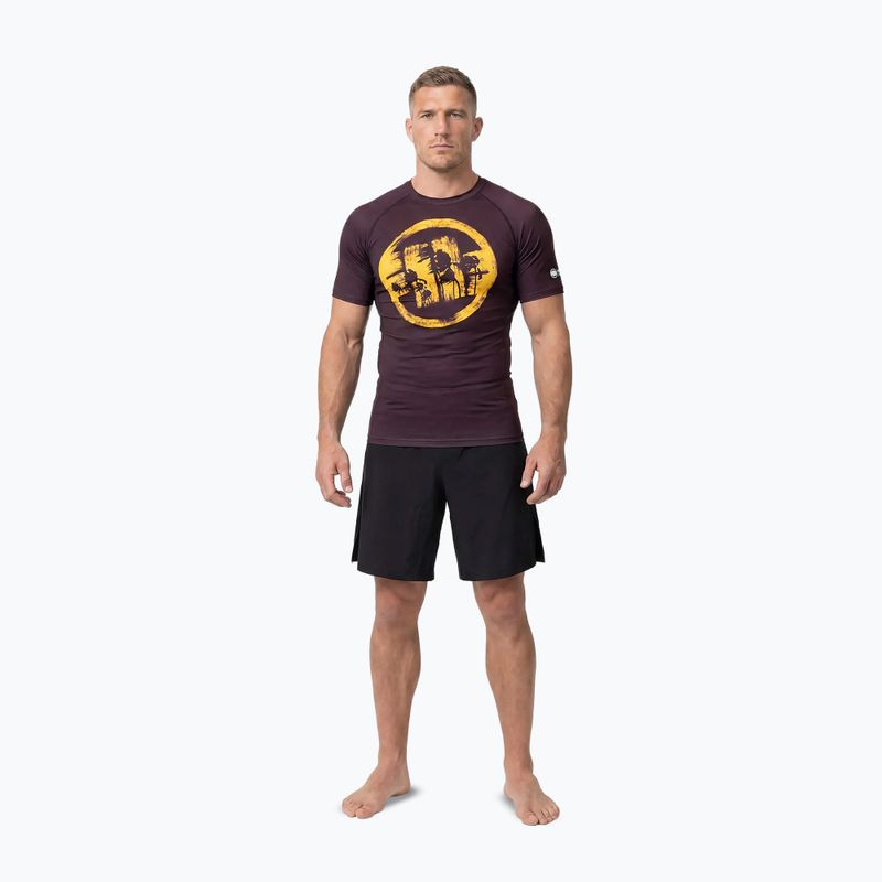 Herren-Shirt Pitbull Rashguard Logo Palms brown 2