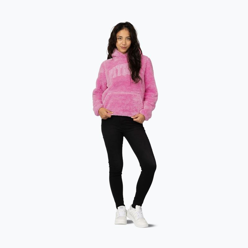 Damenpullover Pitbull Aragona Norton Hooded dark chocolate 2