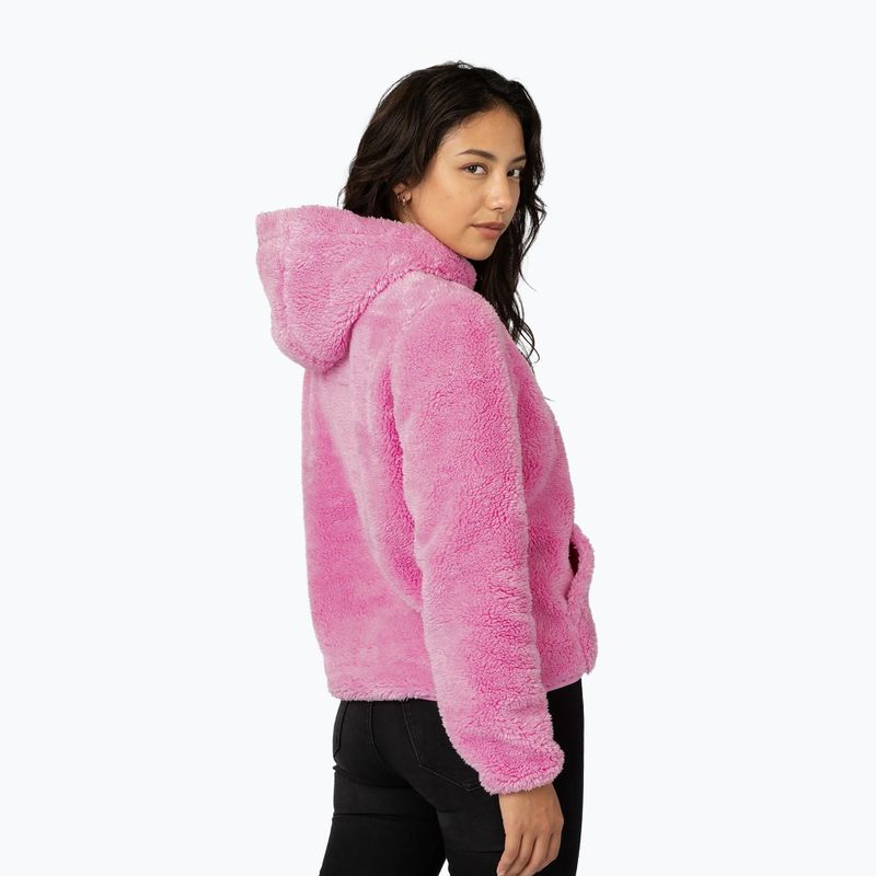 Damenpullover Pitbull Aragona Norton Hooded dark chocolate 4