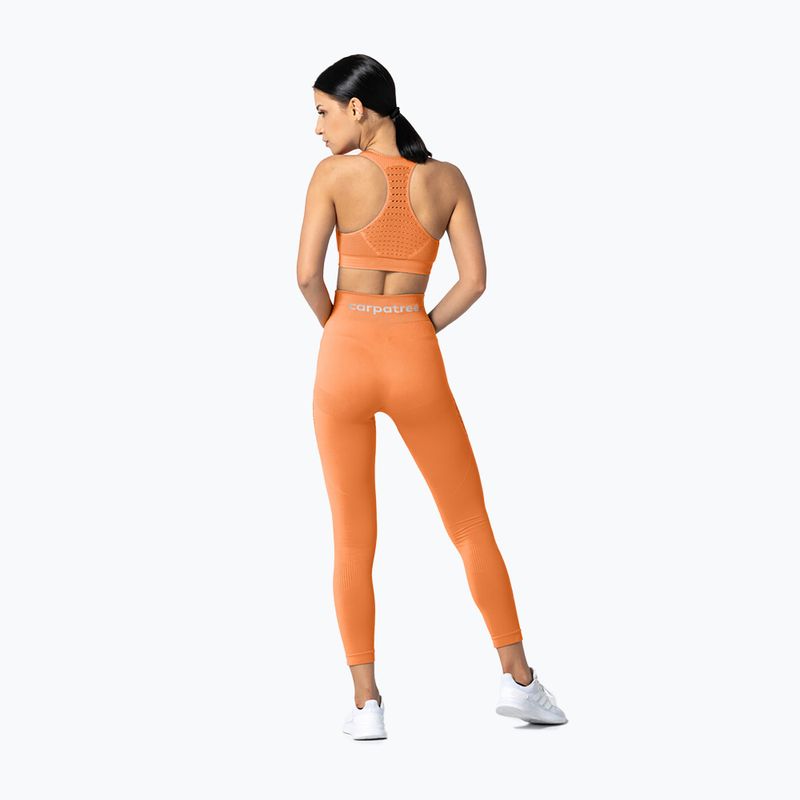 Damen Carpatree Phase Nahtlose Leggings orange CP-PSL-PE 5