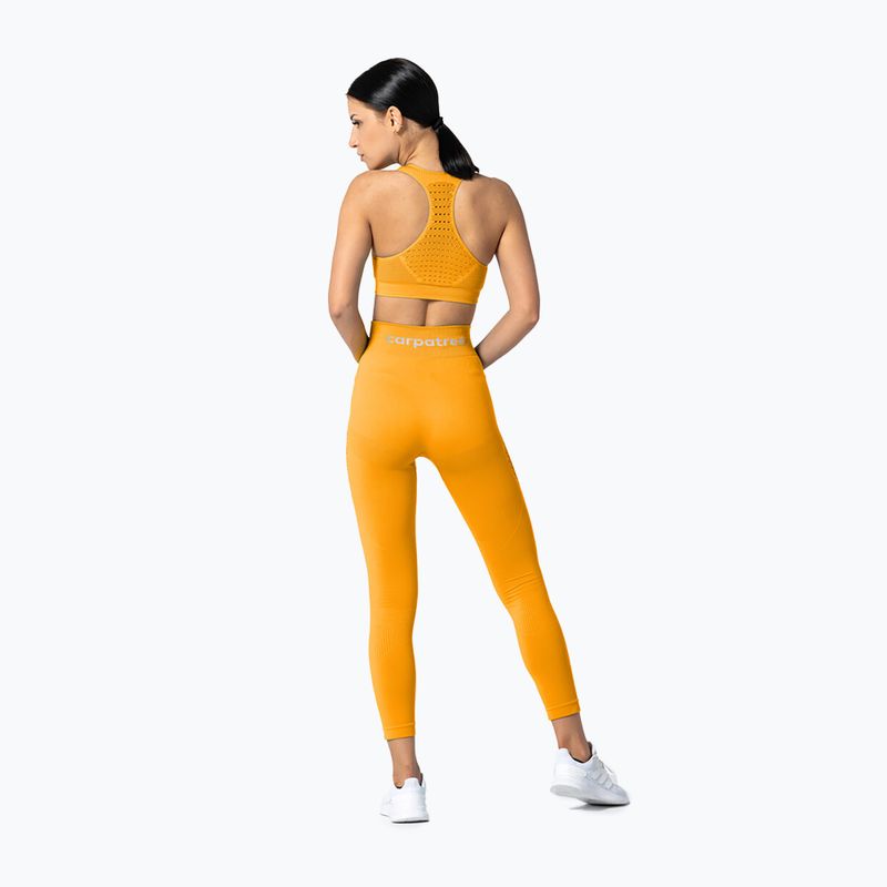 Carpatree Phase Nahtlose Leggings für Frauen Gelb CP-PSL-GY 5