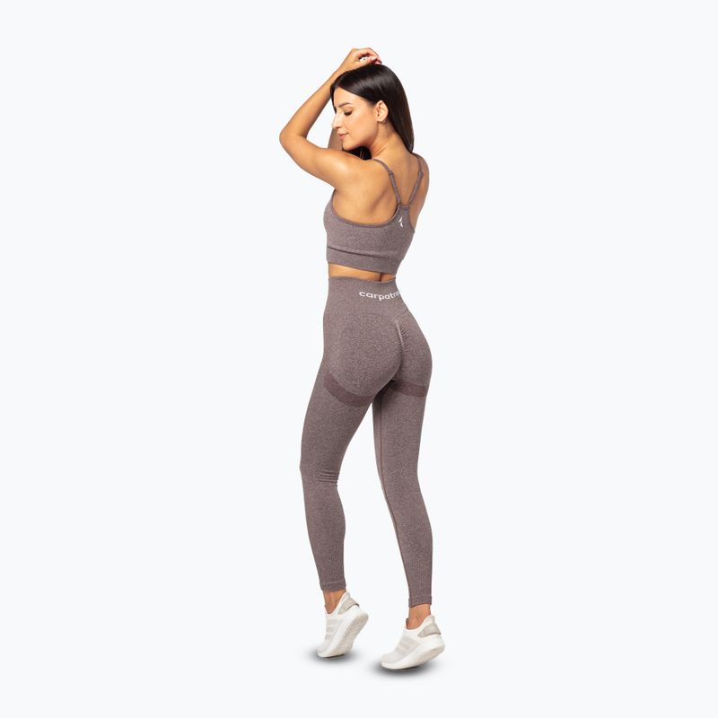 Damen Trainingsleggings Carpatree Allure Seamless braun melange (Pfeffer Mais) 3
