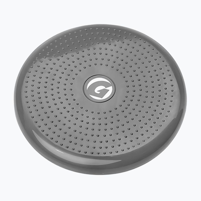Stabilisierungsscheibe Gipara grau 3013