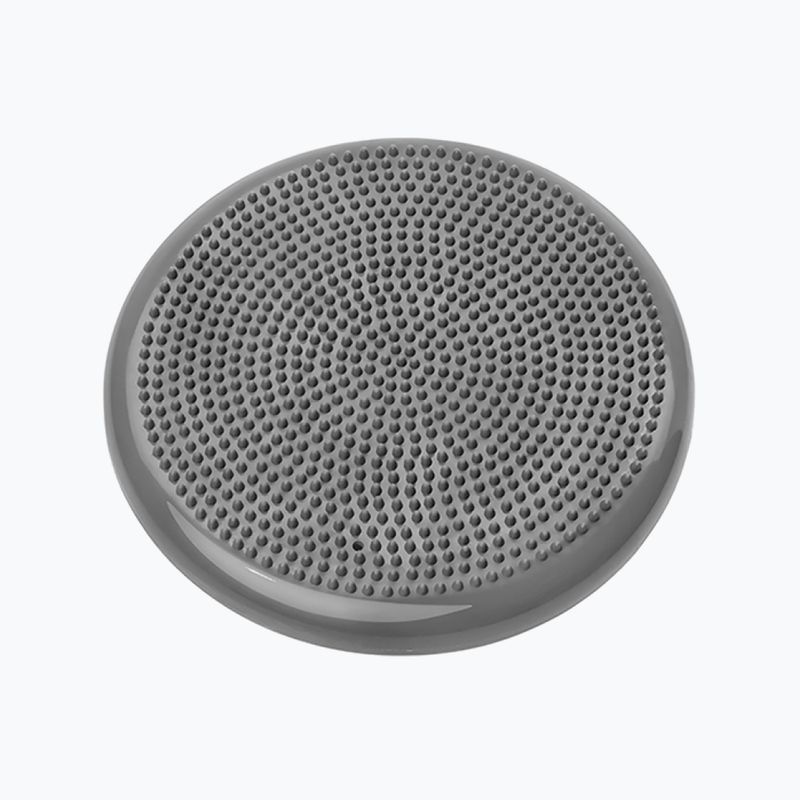 Stabilisierungsscheibe Gipara grau 3013 2
