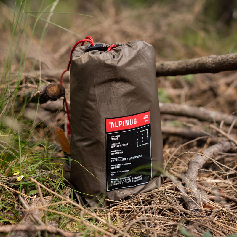 Tarp Alpinus Zagros grün 10