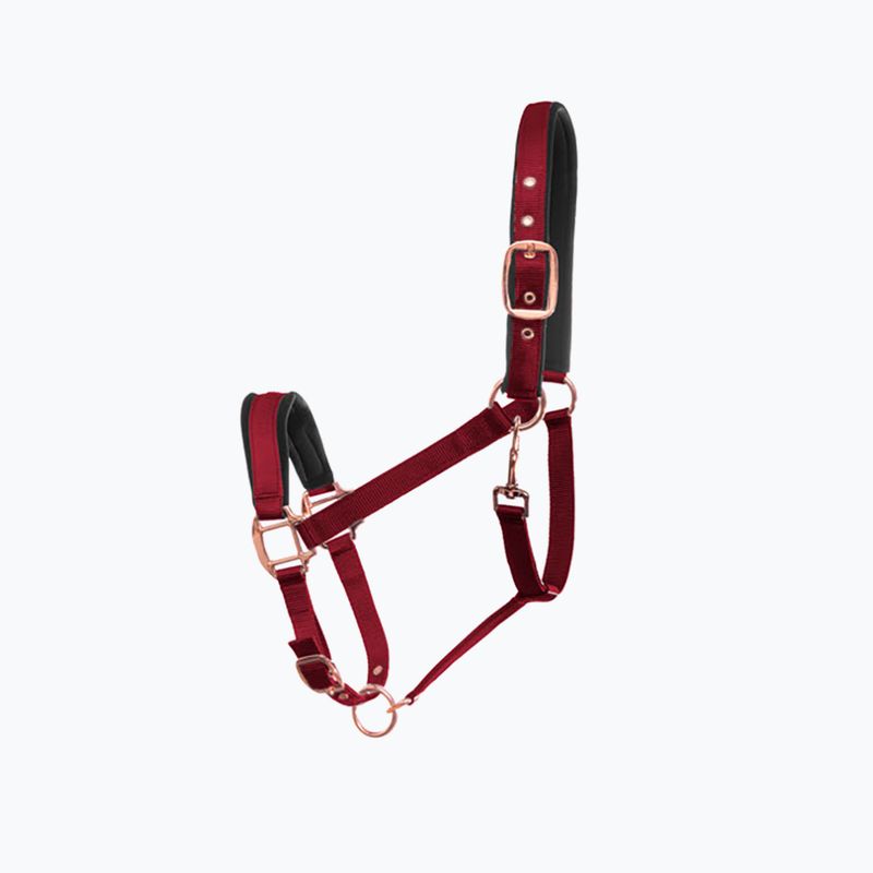 Fera Basic Pferdehalfter rot 4.15.