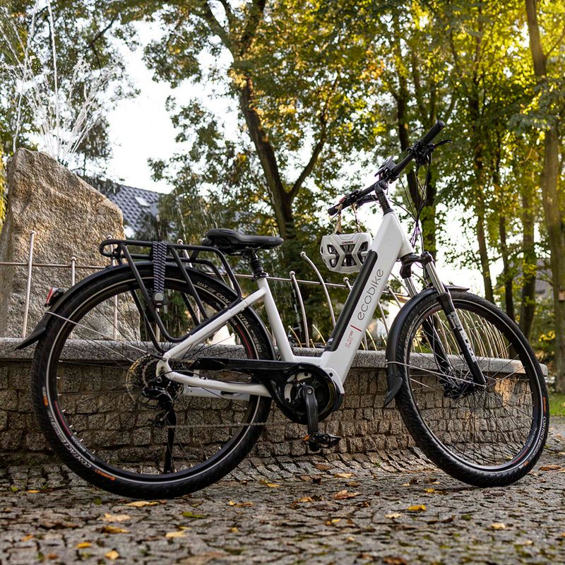 Ecobike LX300 Greenway Elektrofahrrad weiß 1010306 19