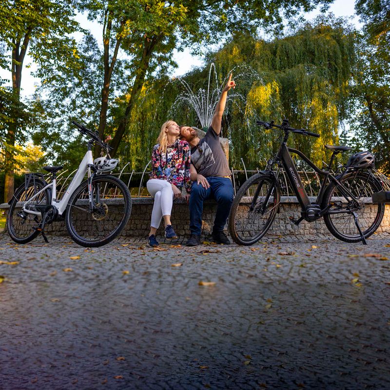 Ecobike LX300 Greenway Elektrofahrrad weiß 1010306 20