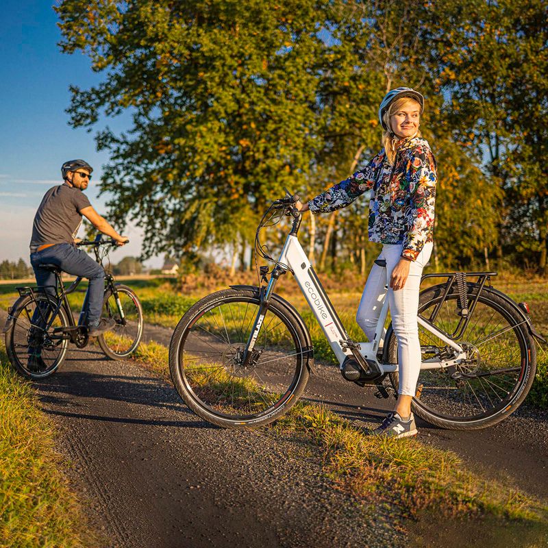 Ecobike LX300 Greenway Elektrofahrrad weiß 1010306 21