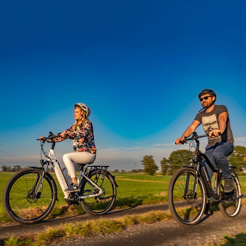Ecobike LX300 Greenway Elektrofahrrad weiß 1010306 24