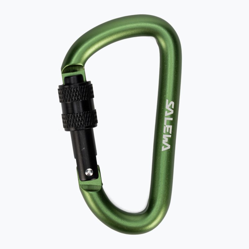 Salewa D-Shape Carbiner mit Schraube grün 00-0000034102