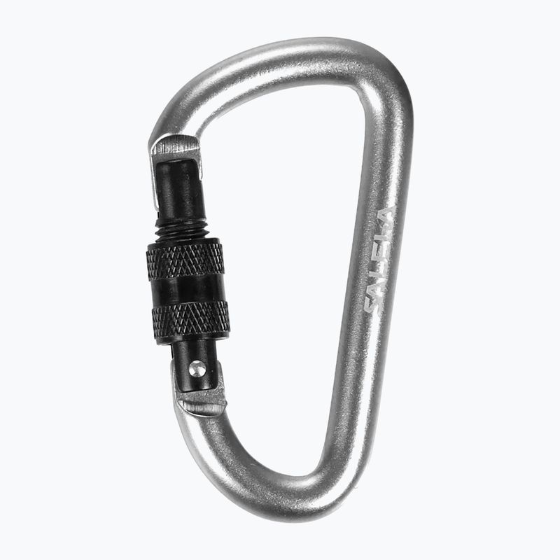 Salewa D-Shape Carbiner mit Schraube schwarz 00-0000034102