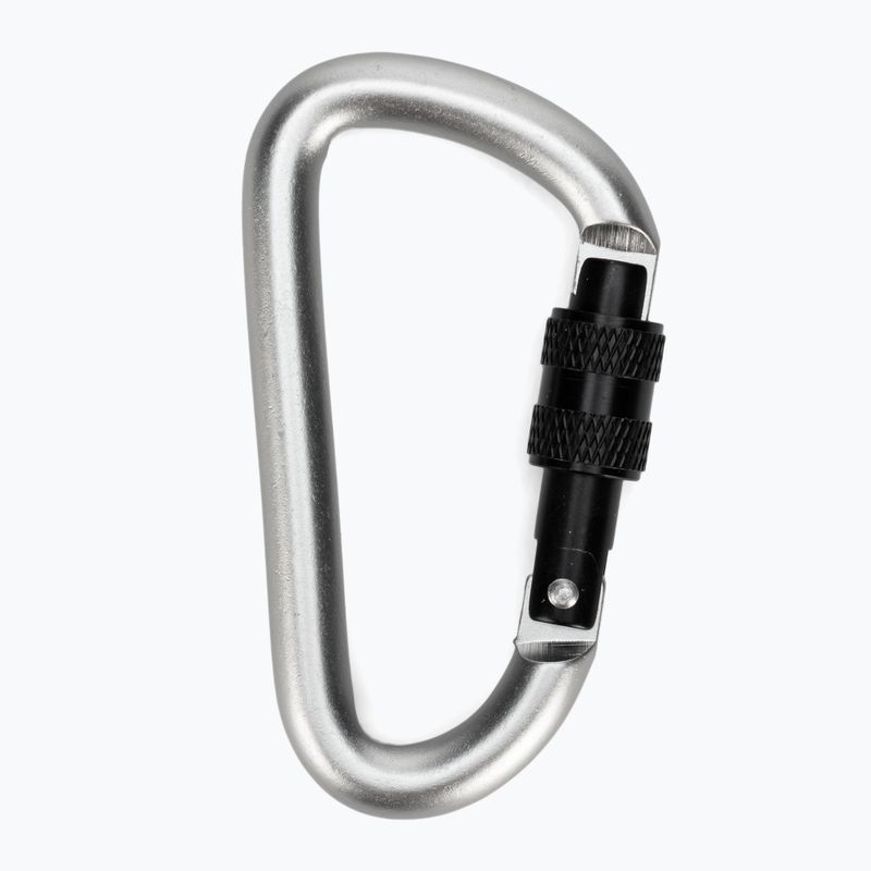 Salewa D-Shape Carbiner mit Schraube grau 00-0000034102 2