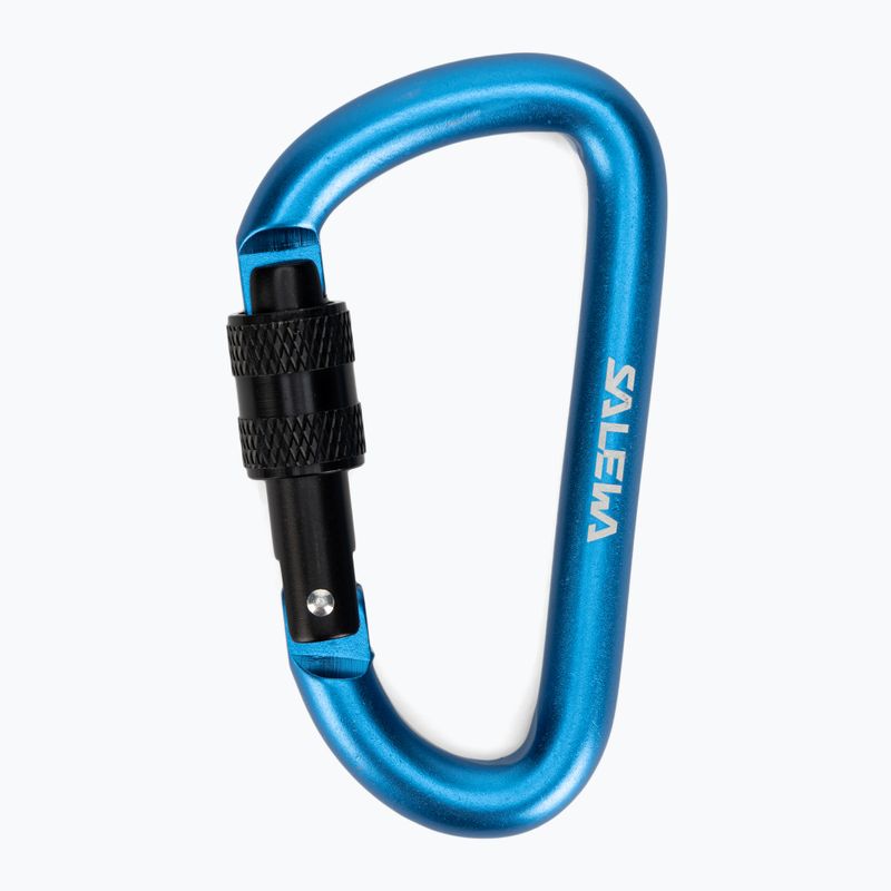 Salewa D-Shape Carbiner mit Schraube blau 00-0000034102