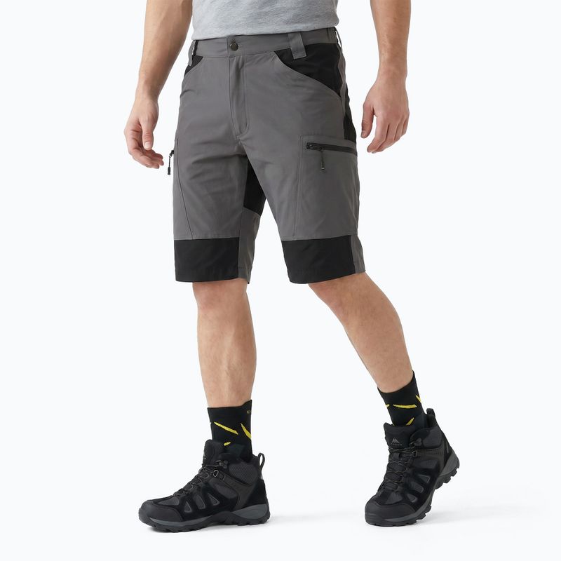 Herren Shorts KADVA TerraLine grau 2