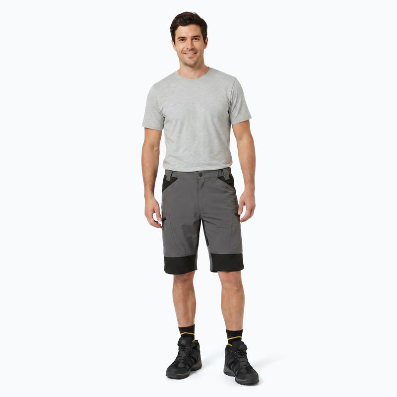 Herren-Shorts KADVA TerraLine gray 4