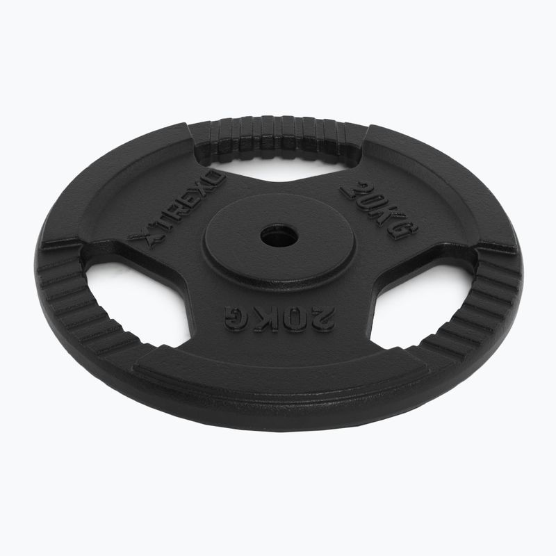 XTREXO Gusseisen Gewicht TRX-ICP020 20 kg Chrom