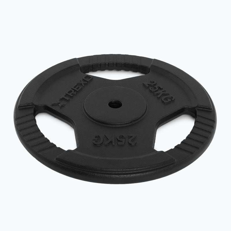 XTREXO Gusseisen Gewicht TRX-ICP025 25 kg Chrom