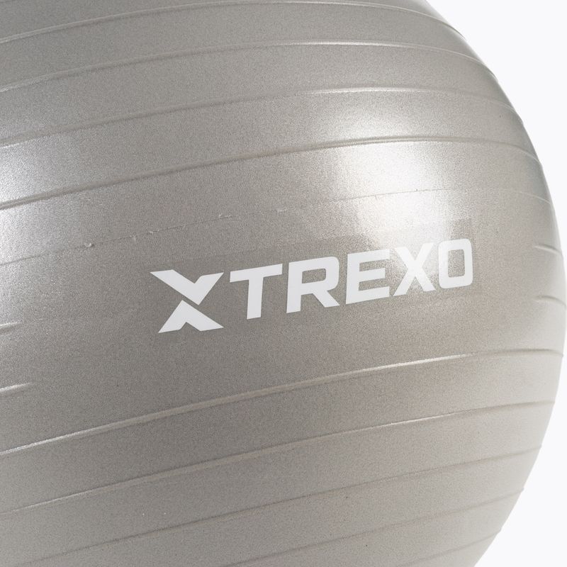 TREXO Gymball TXO-B4Z007-GY 55 cm grau 6