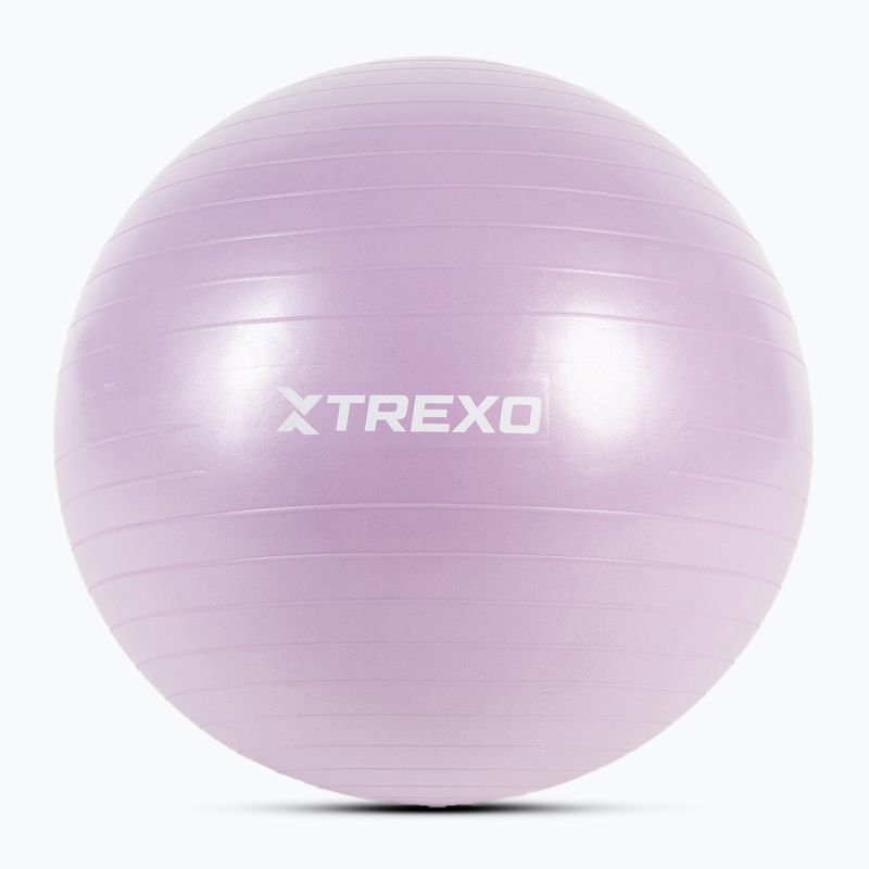 Gymnastikball TREXO TXO-B4Z008-VT 65 cm lila