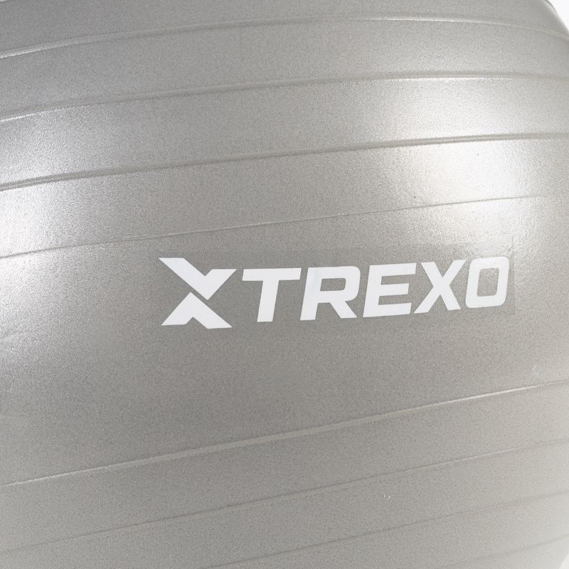 TREXO Gymball TXO-B4Z008-GY 65 cm grau 5