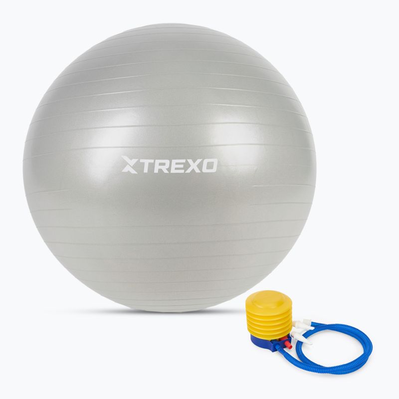 TREXO Gymball TXO-B4Z009-GY 75 cm grau 5