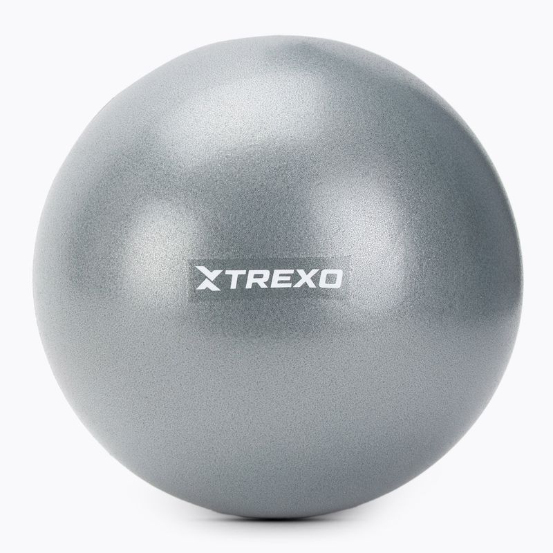 TREXO Mini-Gymnastikball TXO-B4Z010-GY 20 cm grau