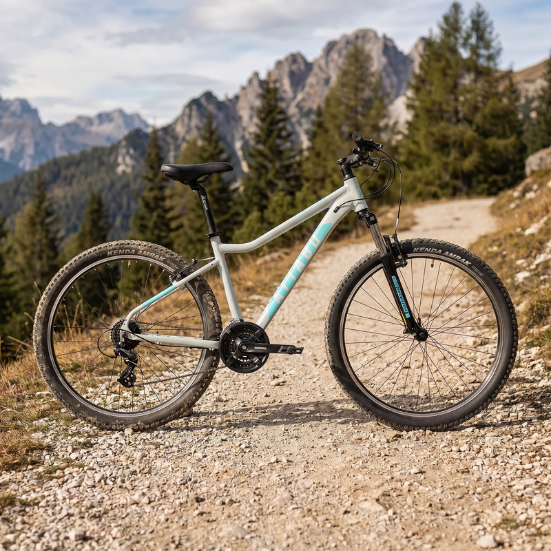 Damen-Mountainbike ATTABO ALPE 1.0 17" grau 3