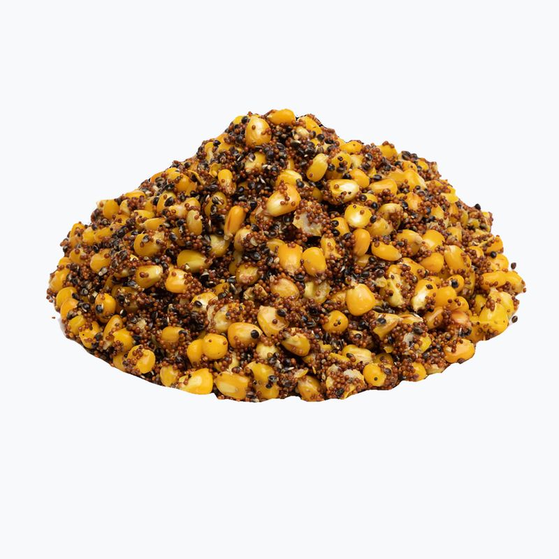 Karpfen Zielkornmischung Mais-Kongo-Gummi 33%